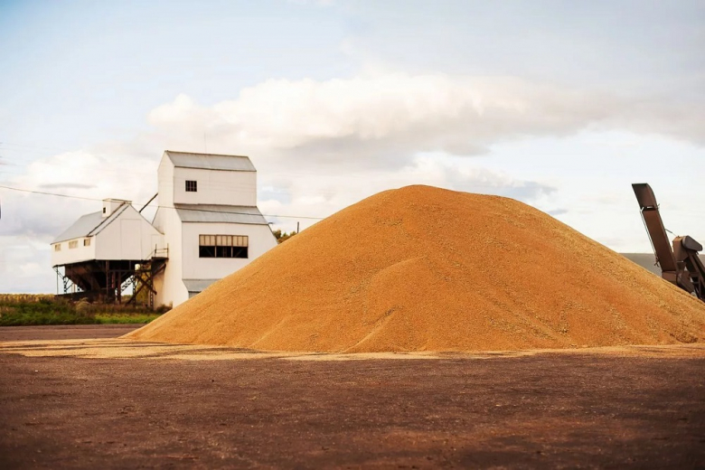 Минсельхоз установил цены для интервенций зерна и сахара